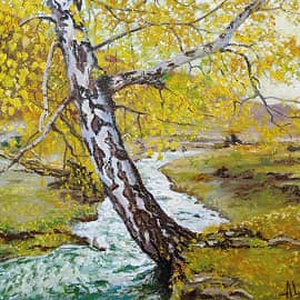 У горной реки