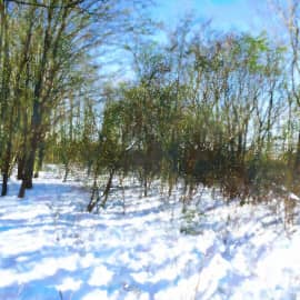 Холодный апрель