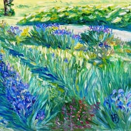 Белградские ирисы.