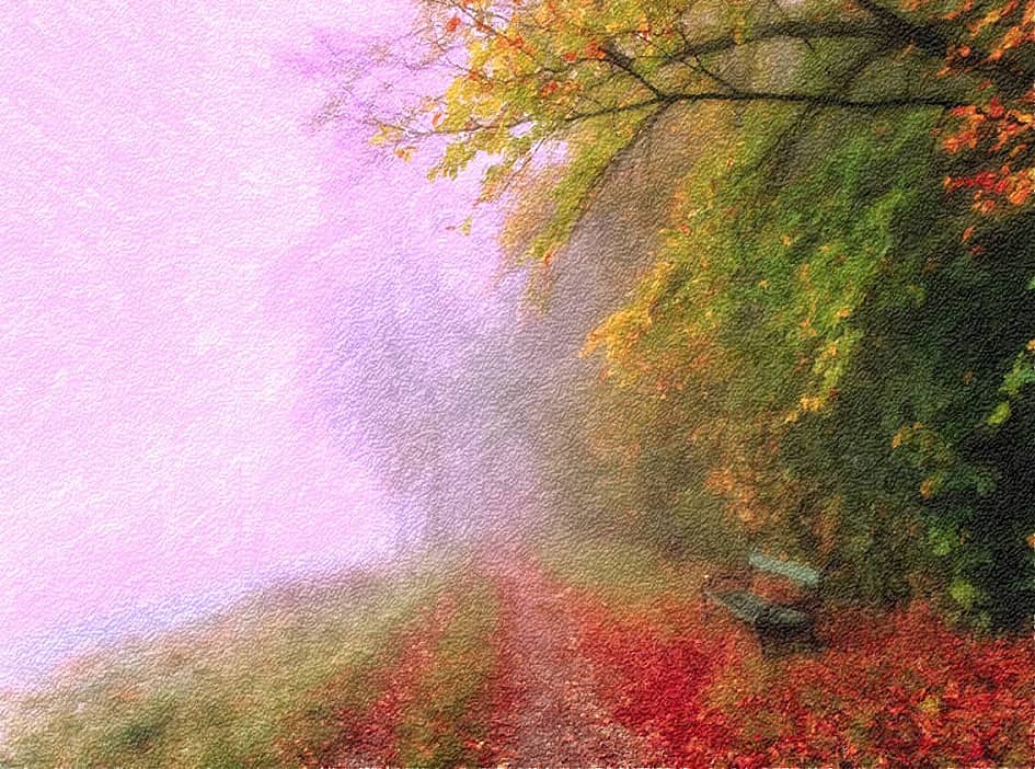 Цветные туманы.