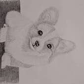 Добрый корги