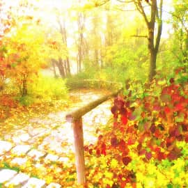 спуск в туман