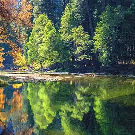 зеркало вод