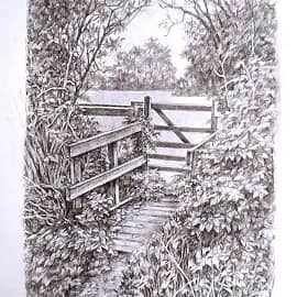 Графика и рисунок