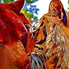 Вот такая дружба