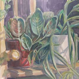 Горшечные цветы