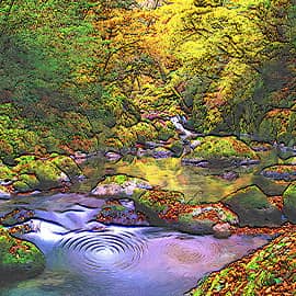 Осенний ручей