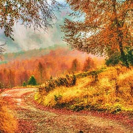 дорога в осень.2