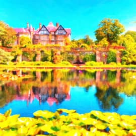 летнее озеро2