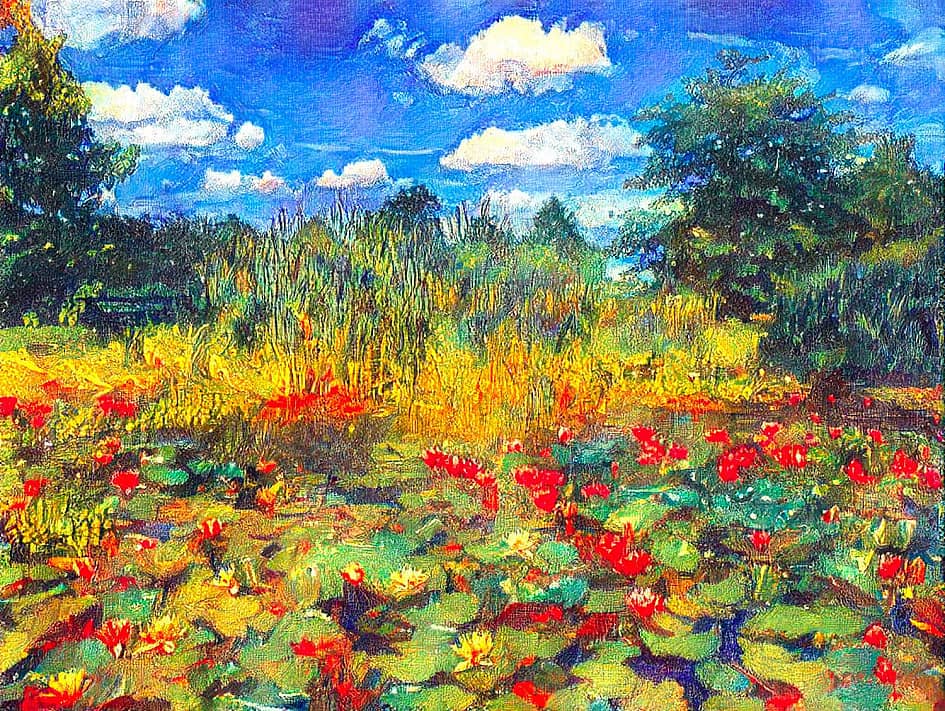 Пруд с кувшинками.