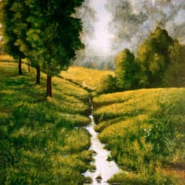 Ручей  The Stream