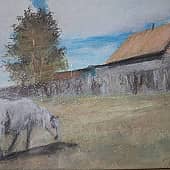 Белая лошадь