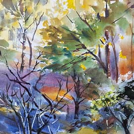 Осень во дворе. Октябрь.