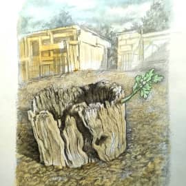 Памятник природы