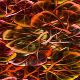 Опавшие листья