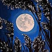 Отблески колосков