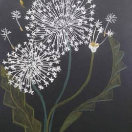 Нежная сказка