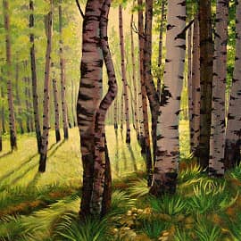 Березы освещенные солнцем