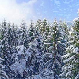 Зимний пейзаж 0104