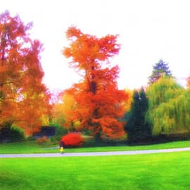 одинокая прогулка