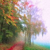 Цветные туманы.