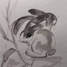 ... вот и лето пришло...