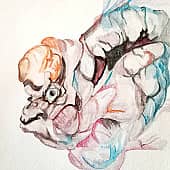 Экзотическая рыбка серая