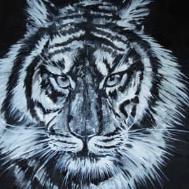 Взгляд хозяина.