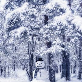 Зимний пейзаж 01