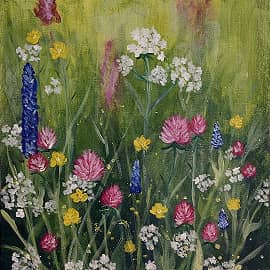 Полевые цветы