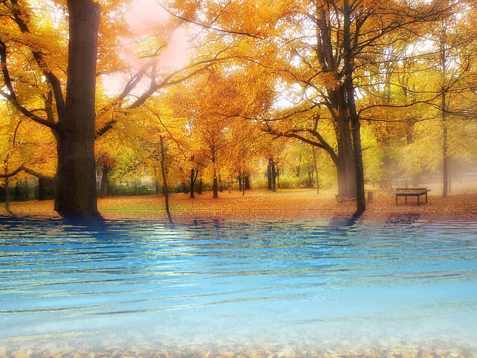 Осенний парк.