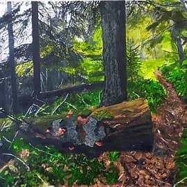 Утро на лесной тропинке