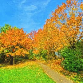 Осенние тропинки.