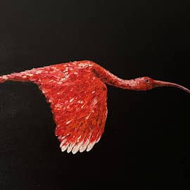 Красная птица