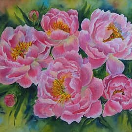 Китайские пионы