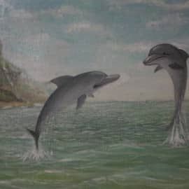 Дельфины