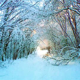 Утро нового дня.