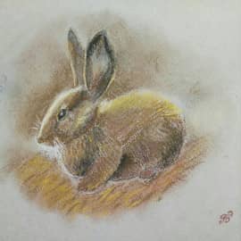 Ушастый привет