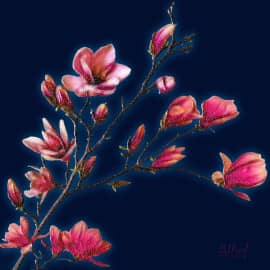 Цветущая веточка