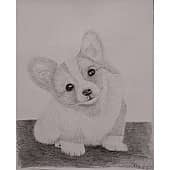 Добрый корги