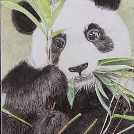 Бамбуковый завтрак