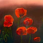 Вечерние маки