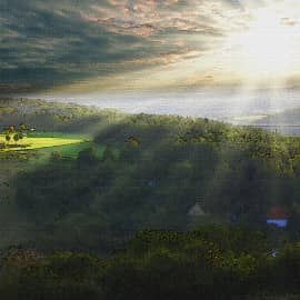 На солнечной поляночке