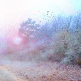 Холодный туман.