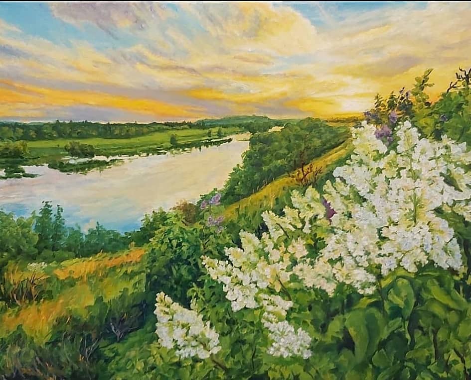 Белая сирень в Лебедянском районе Липецкой области.