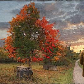 По дороге в осень.