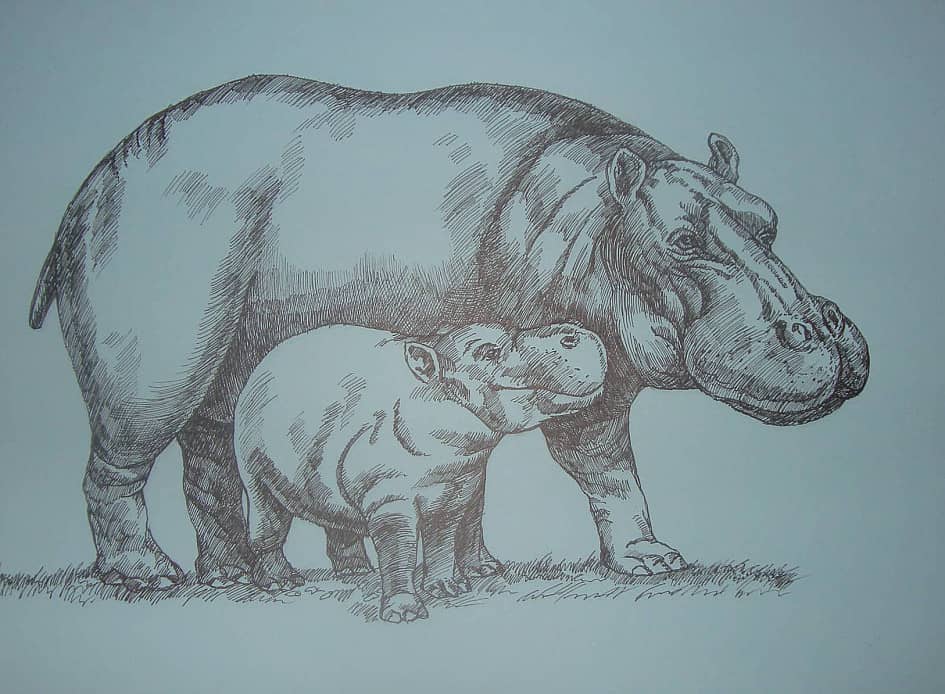 Бегемотики