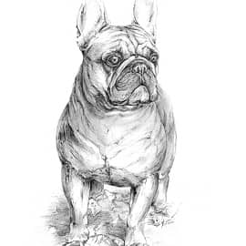 Портрет Люси