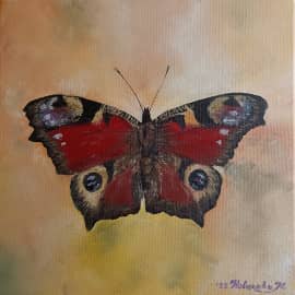 Павлиний глаз