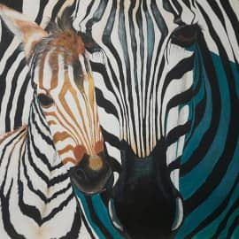 Зебры: Свет и Тень.